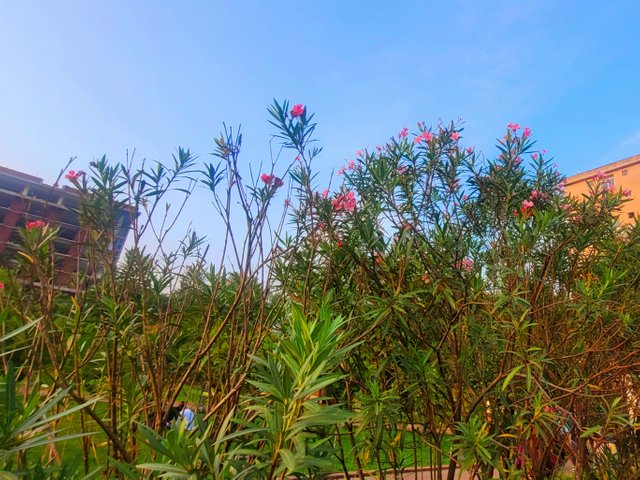 20241025_161825.jpg