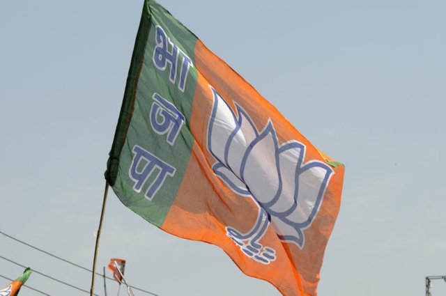 bjp-768x510.jpg