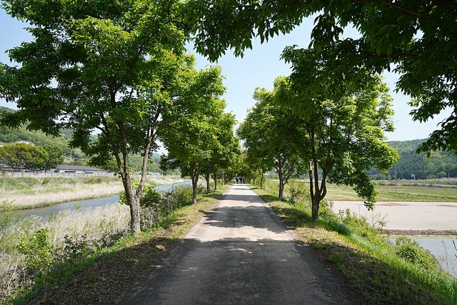 b-DSC00992.JPG