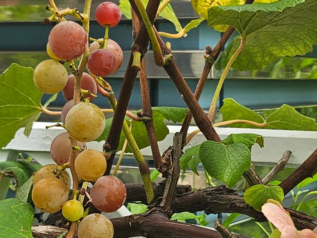 KakaoTalk_20250908_230855018_02.jpg