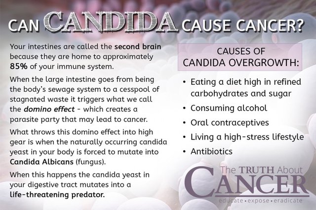 Candida-yeast-overgrowth-cancer.jpg