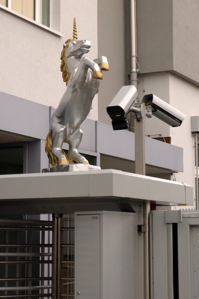 UnicornSecurityCamera.JPG