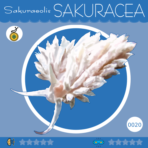 0020-SakuraeolisSakuracea.png