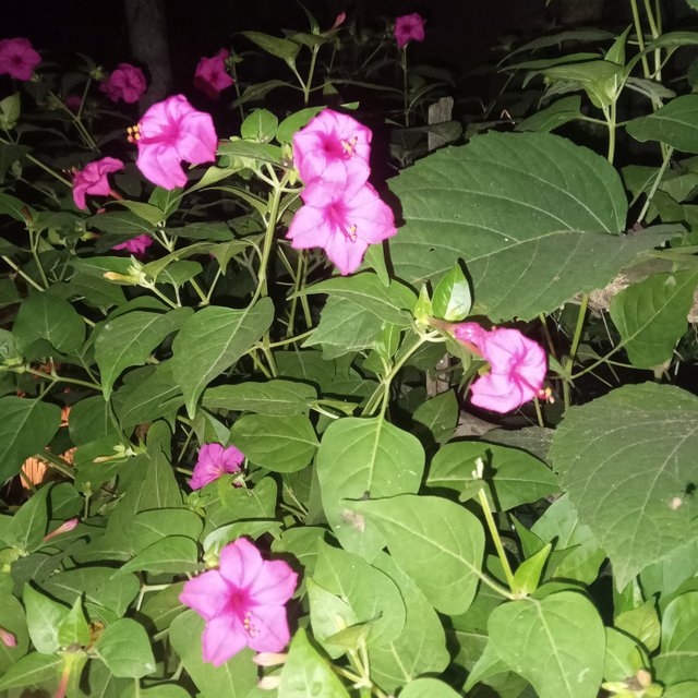IMG20240924213827.jpg