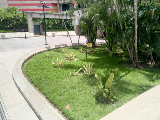 IMG_20250829_124059_410.jpg