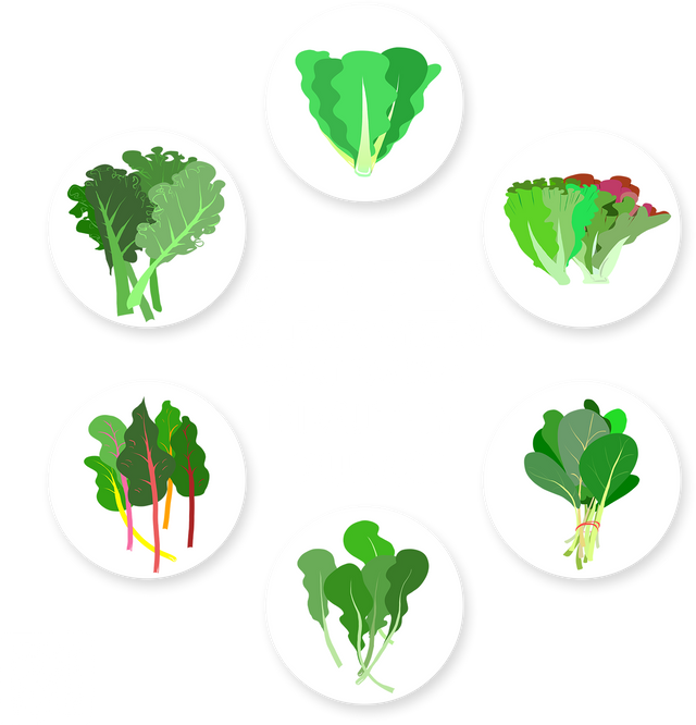 6TypesOfLeafyGreens-Post.png