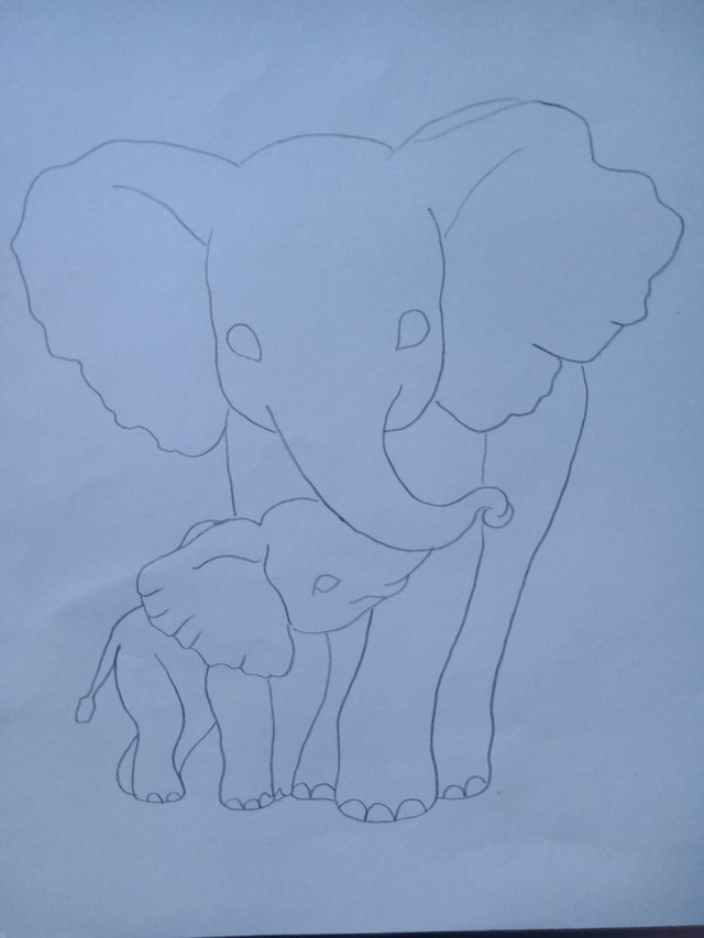 Elephant (3).jpg