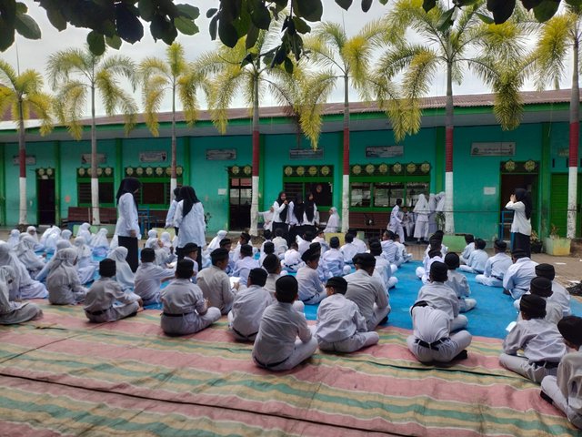 010.jpg