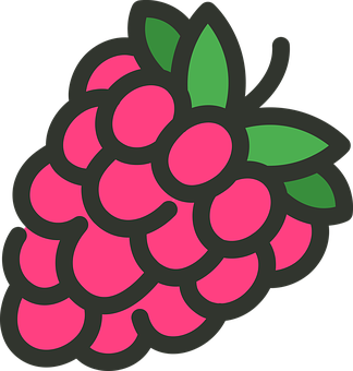 raspberry-2161523__340.png