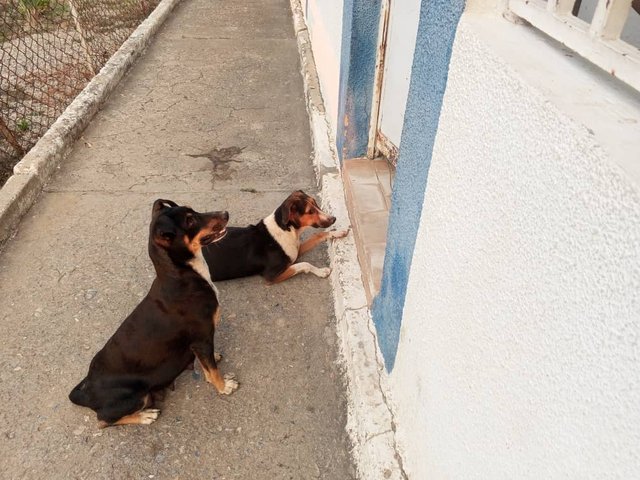 Imagen de WhatsApp 2025-03-27 a las 21.02.53_0f89302d.jpg