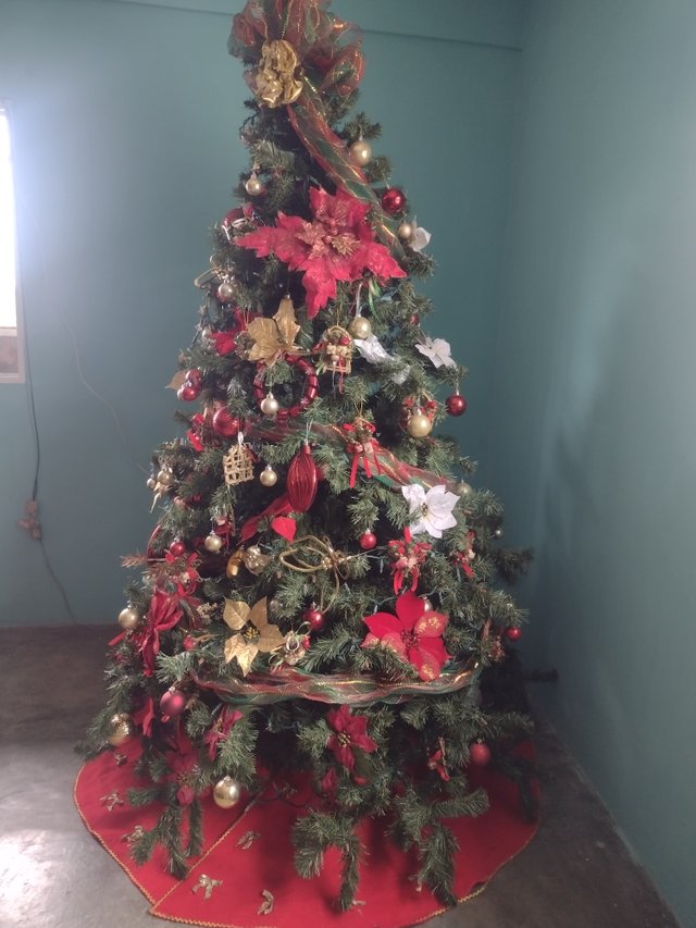 IMG_20231208_155300110.jpg