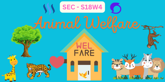 Animal Welfare.png