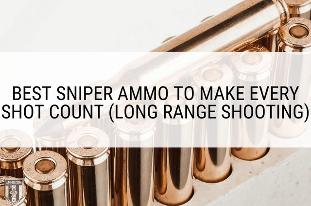 best-sniper-special-ammo-hero-image.jpg