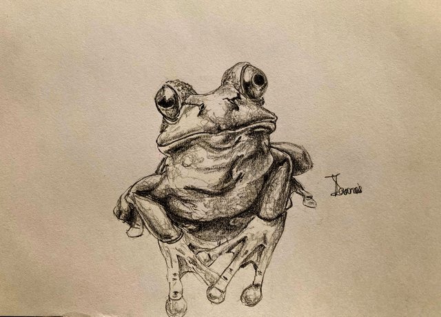 image.jpeg