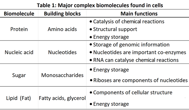 biomolecules.png
