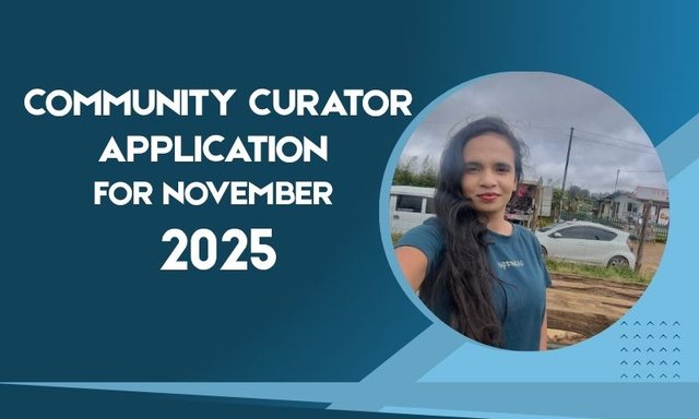 Community Curator Application for November 2025.jpg