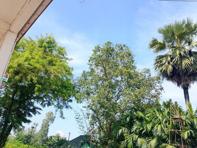 1000049025.jpg