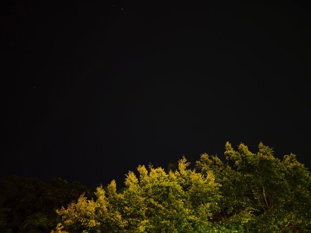 IMG_20250516_035003.jpg