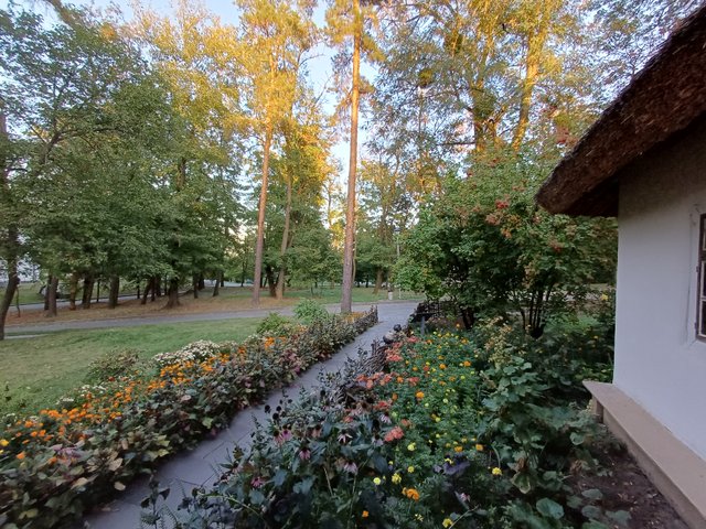 20250920_182144.jpg