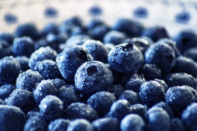 blueberry-3460423_960_720.jpg