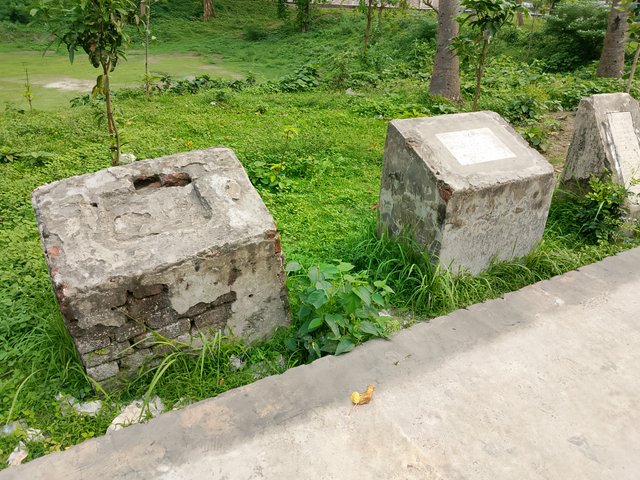 1000038272.jpg