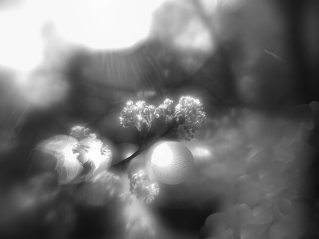 DSC01785-2.jpg