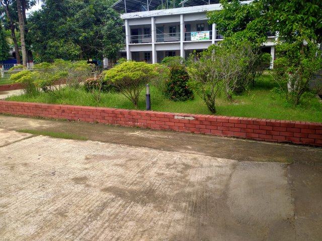 IMG20250619100608.jpg
