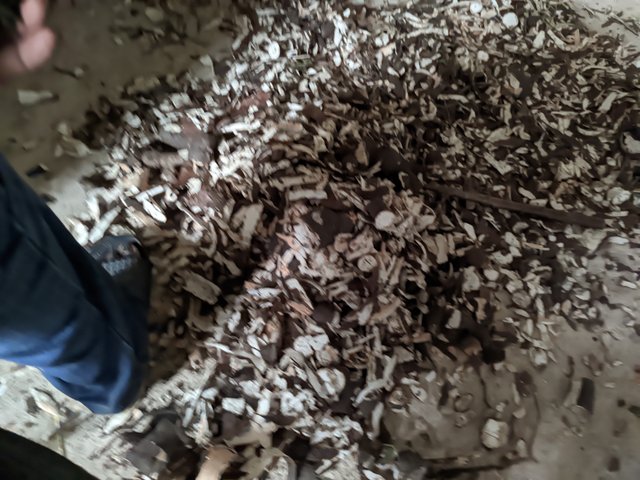 1000614774.jpg