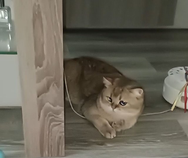 1000001374.jpg