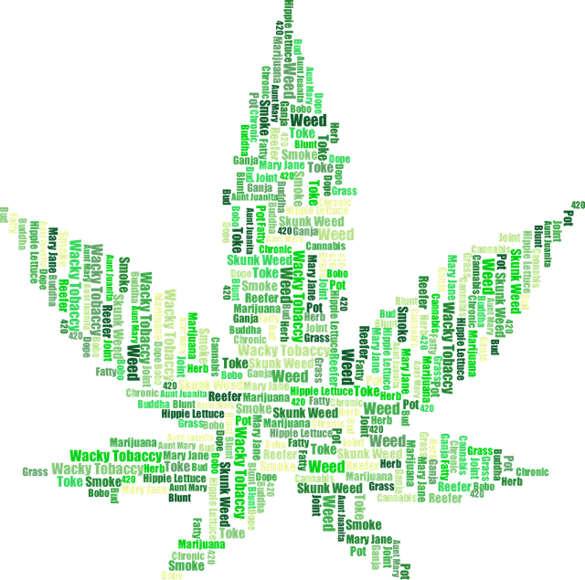 marijuana-2754247_1920.png
