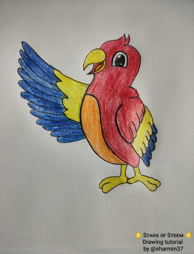 YouTube | Nature drawing, Simple nature drawing, Parrot drawing-saigonsouth.com.vn