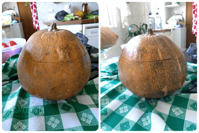 Calabaza_Tesmoforia_1.png