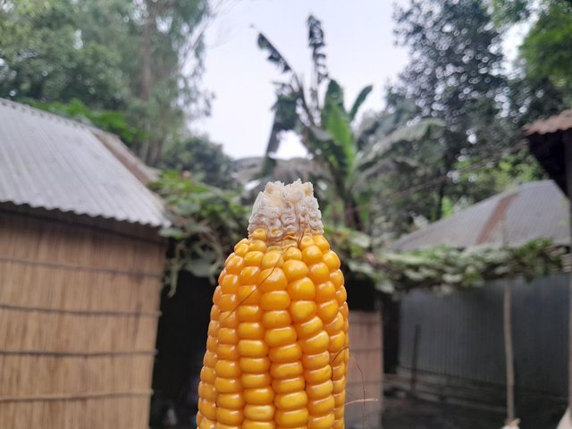 1000063314.jpg