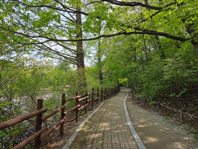 20250506_095103.jpg