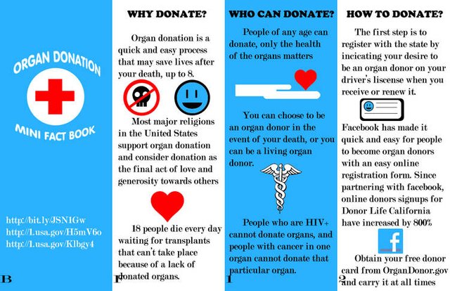 organ_donation_brochure_by_abipolarbear_d4ys3fy-375w-2x.jpg