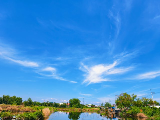 IMG_20250805_085931.jpg