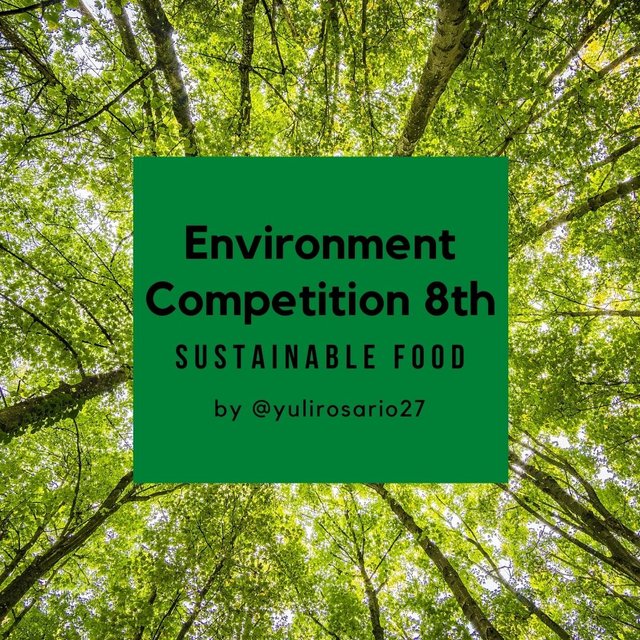 Environment Competition 8th.jpg