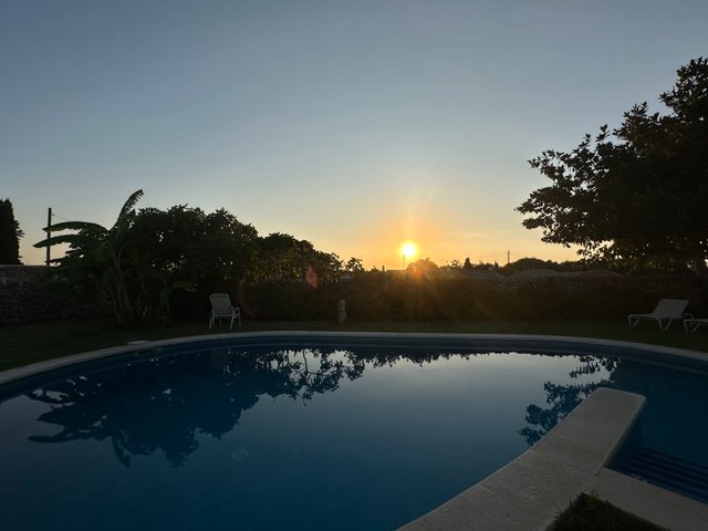 IMG_8440.jpeg