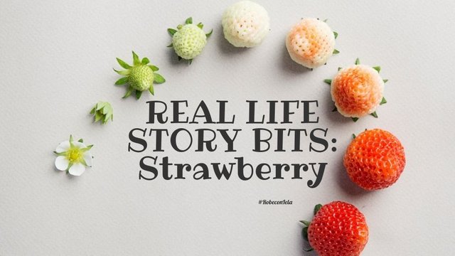 real_life_story_bits_strawberry.jpg