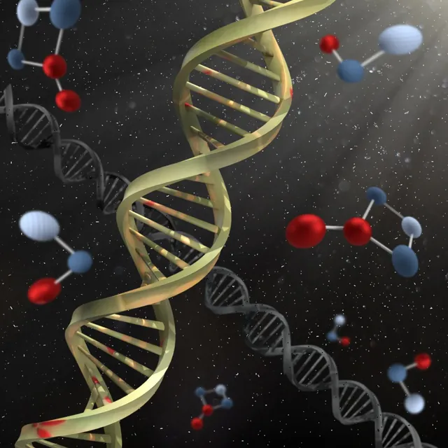 dna-4828422_1280.webp