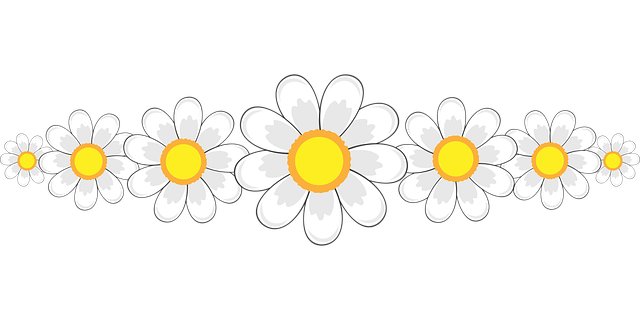 flower-4437136_640.png