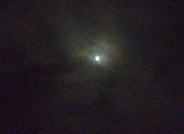 IMG_20250707_205920.jpg