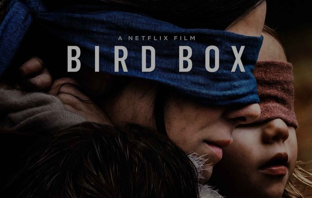 que-opina-la-gente-de-bird-box-de-netflix.jpg