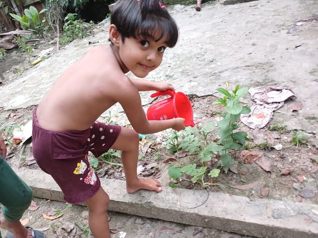 20250517_182638.jpg