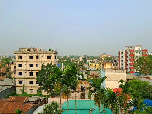 1000028319.jpg