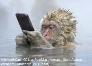 cell phone monkey in japan hot pool huffingtonpost com n-WILDLIFE-PHOTOGRAPHER-OF-THE-YEAR-large300.jpg