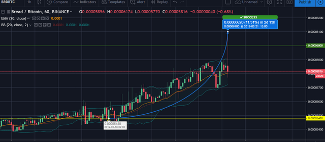BRDBTC21FEB19OUTCOME.png