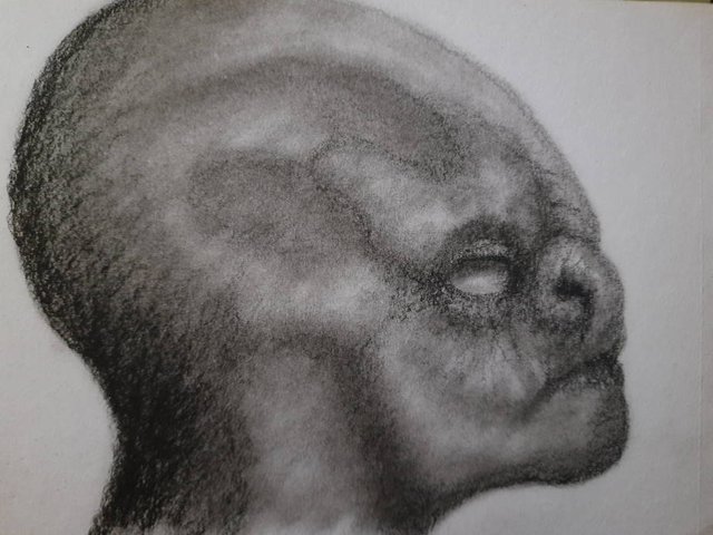 20250604_112637.jpg