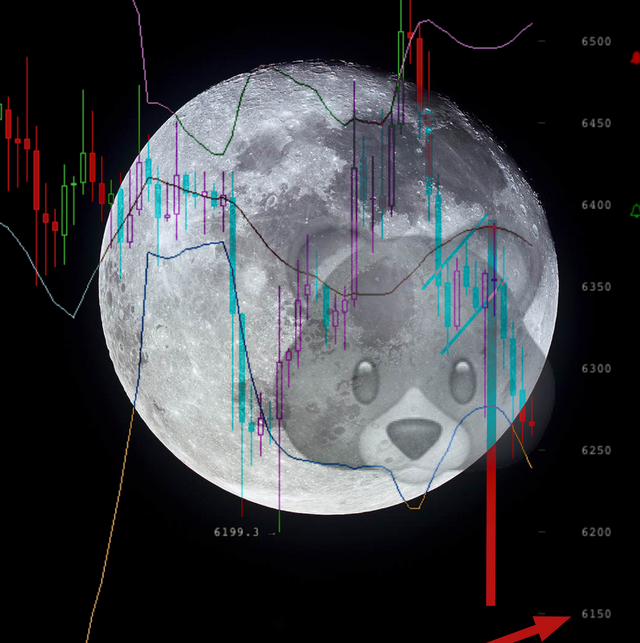 apollo11fullbear-moon.png