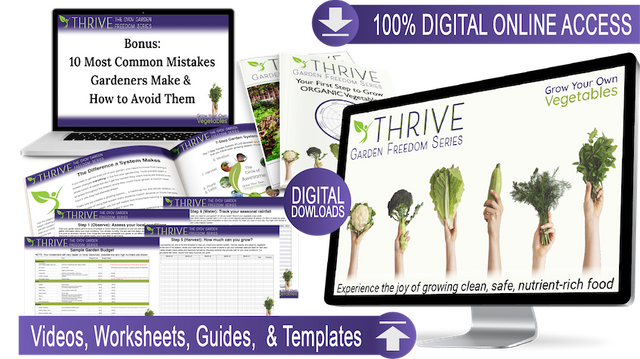 groworganicvegetables,organic vegetables,vegetables,organic,how to grow vegetables,organic gardening,how to grow vegetables at home,grow organic vegetables,grow vegetables,growing vegetables,vegetable,vegetable garden,best.png